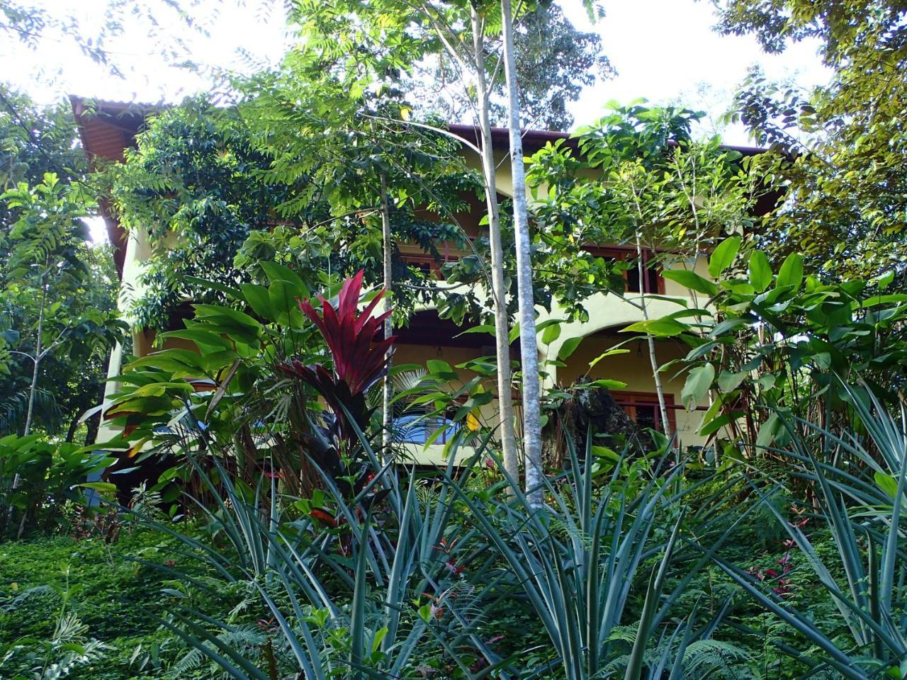 Morrillo Beach Eco Resort Exteriör bild